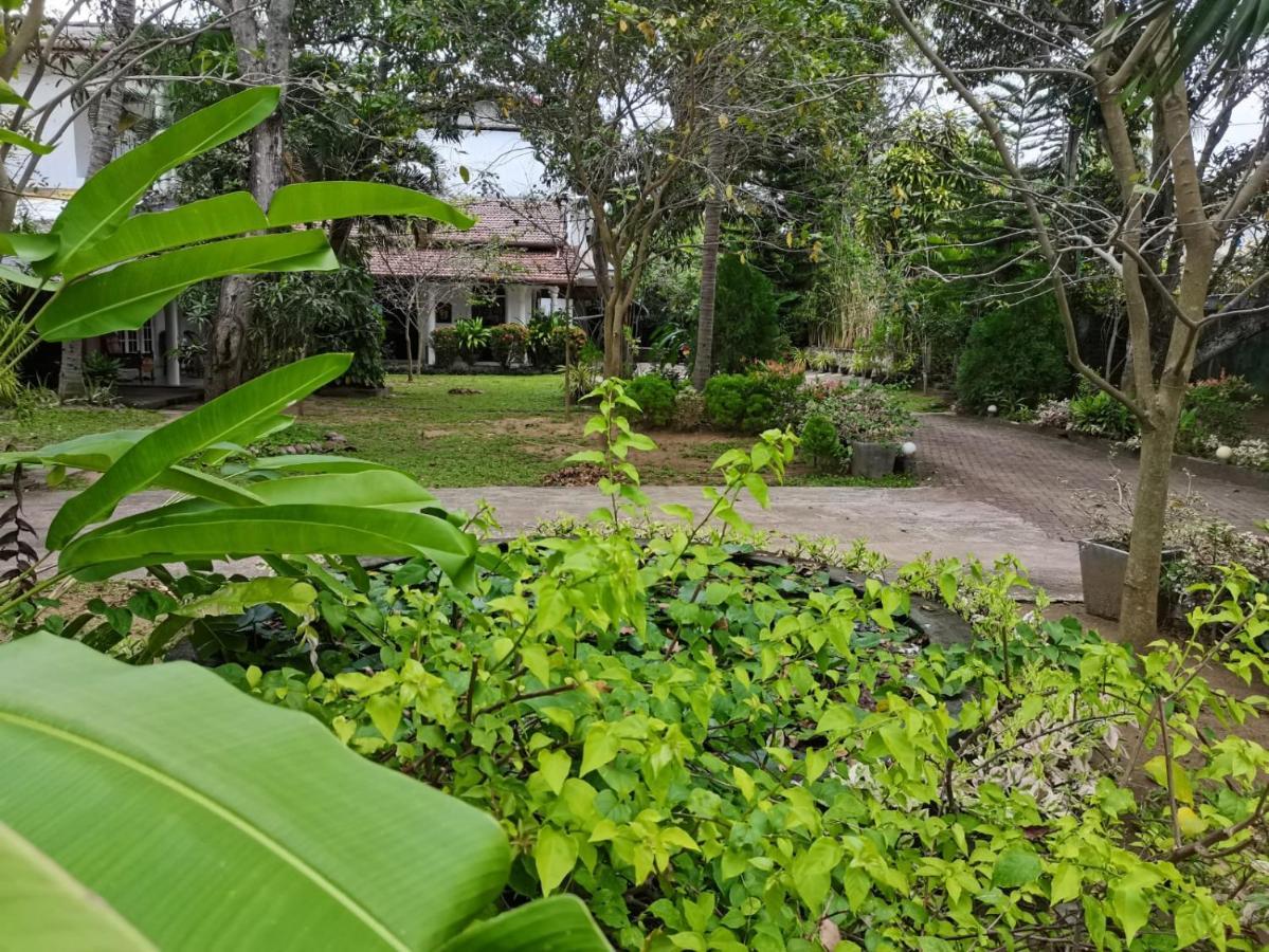 Seyara Holiday Resort Polonnaruwa Eksteriør bilde